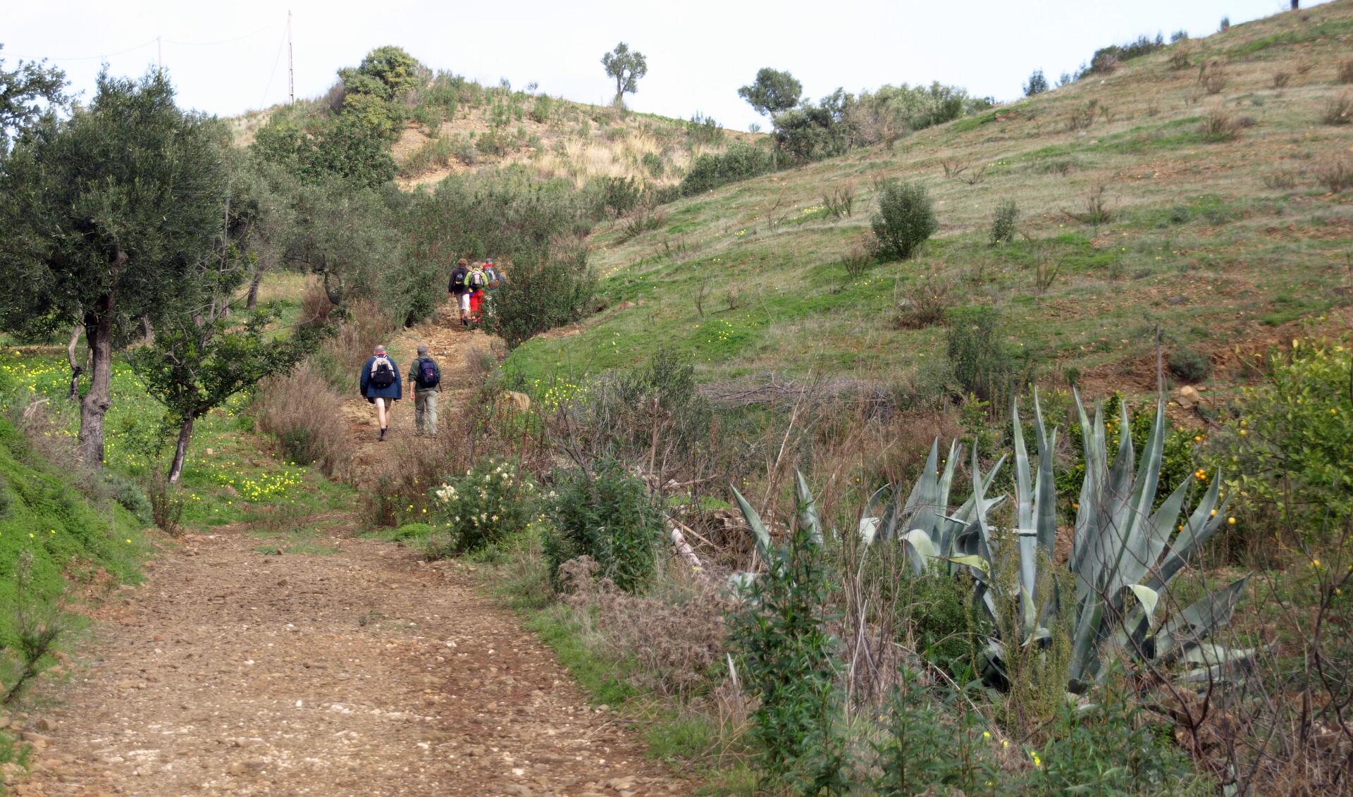 PR1 Corte Antonio Martins boven VN de Cacela